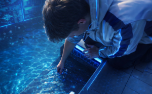 Dye testing around pool skimmer to identify water leak in Mesa Arizona